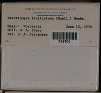 Image Associated With the Occurence